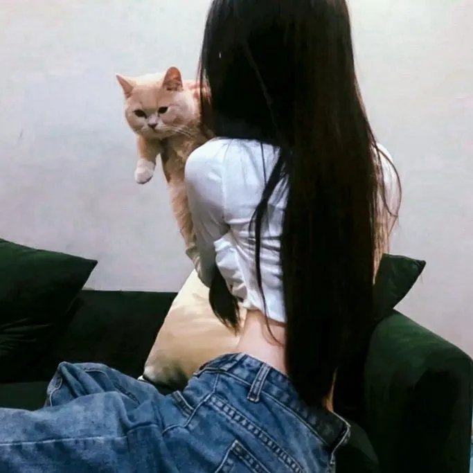 野良与皇女与流浪猫之心